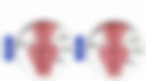 常见误解与容易混淆的点