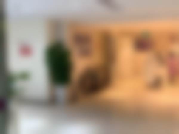 郑州美莱口腔（郑州美莱医疗美容医院口腔科）是国有的吗？