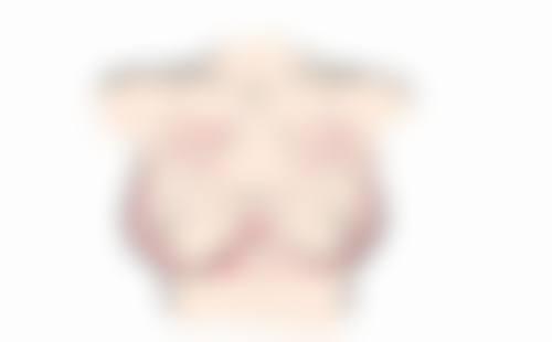 韩国MD胸部整形医院诊疗项目