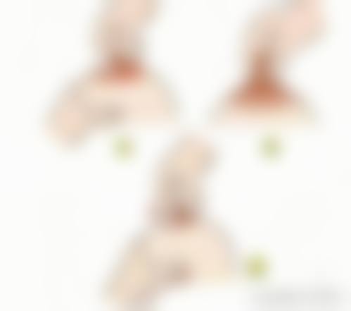 1. 深圳硕人医疗美容门诊部——院长亲诊+内窥镜技术，乳房悬吊更精细