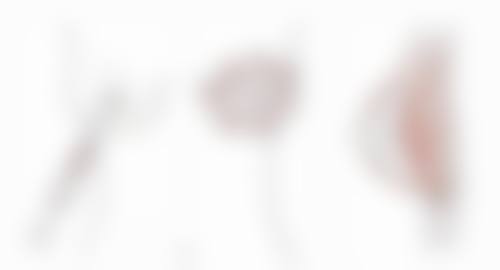 产品品牌与材质:进口vs国产,价格差一倍?