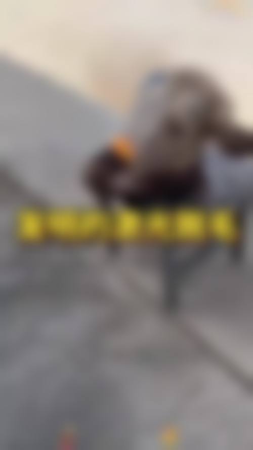 广州广美美雅高金玲医生价格表/收费价目一览表(2026年)