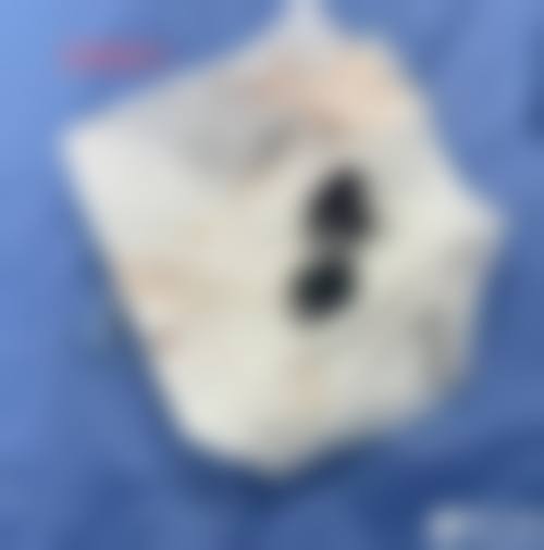 六、总结与预约提示