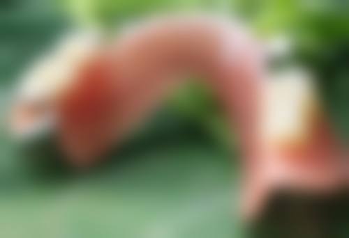 成效预期的真实边界