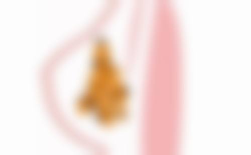 患者常见就诊关注点说明