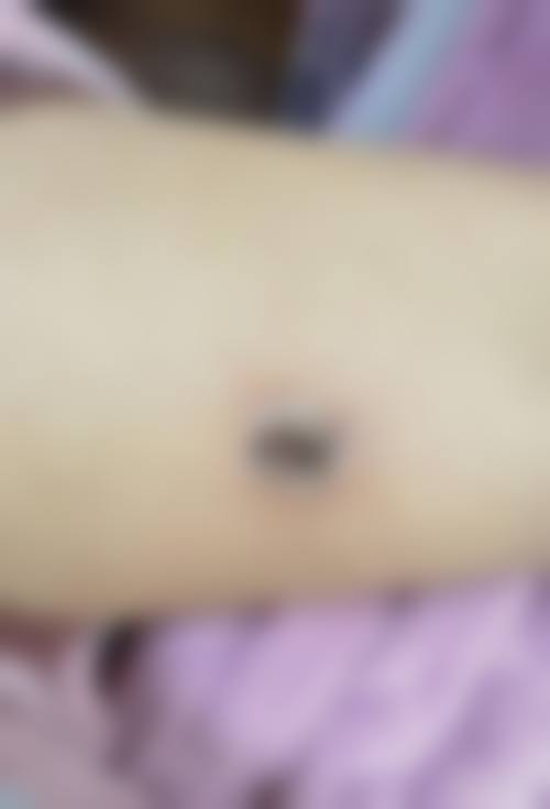 [合规资质核验]