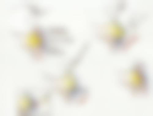 五、伍新鹏医生坐诊医院介绍