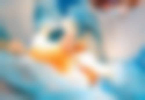 包韩医生相关科普内容推荐——牙齿种植修复