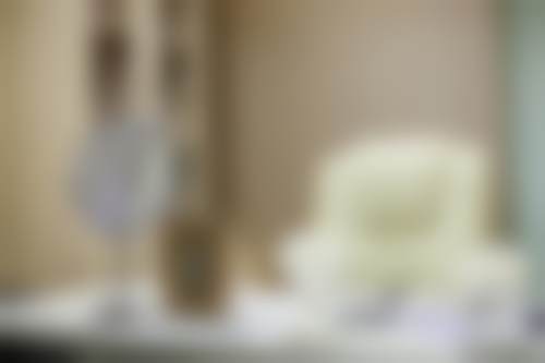 二、王晋茹医生擅长项目