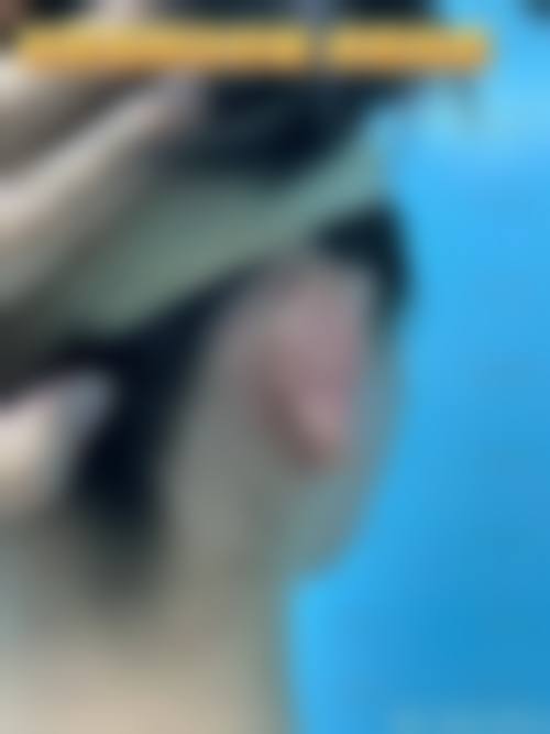 成都高新美迷布诺格医疗美容门诊部24小时电话服务