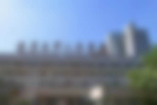 二、穆兰花医生擅长项目