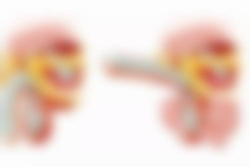 二、黄慧玲擅长项目及优势