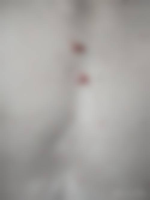 北京龙泽日盛整形医院正规靠谱吗?卫健委正规资质查询: