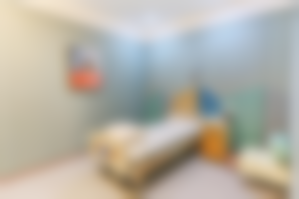 四、林登文医生执医荣誉