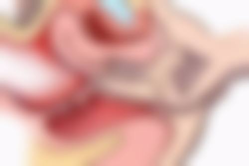 九、患者常见就诊关注点说明