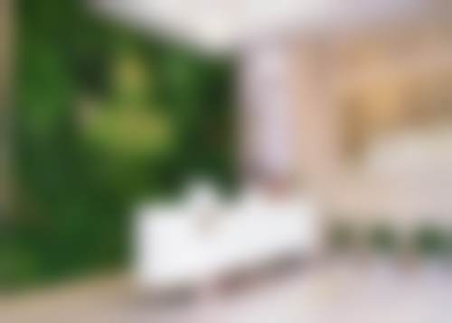 二、武汉九州薇美医疗美容医院重点开展项目