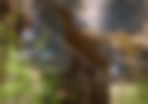 广州宸山医疗美容诊所医生介绍