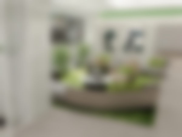 整体评价与建议