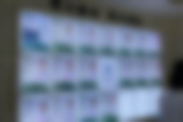 三、任义擅长项目及优势