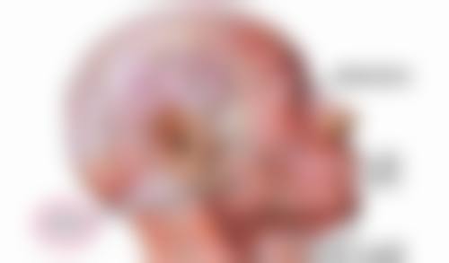 理性提醒：揀術後管理，安心永遠第一位！