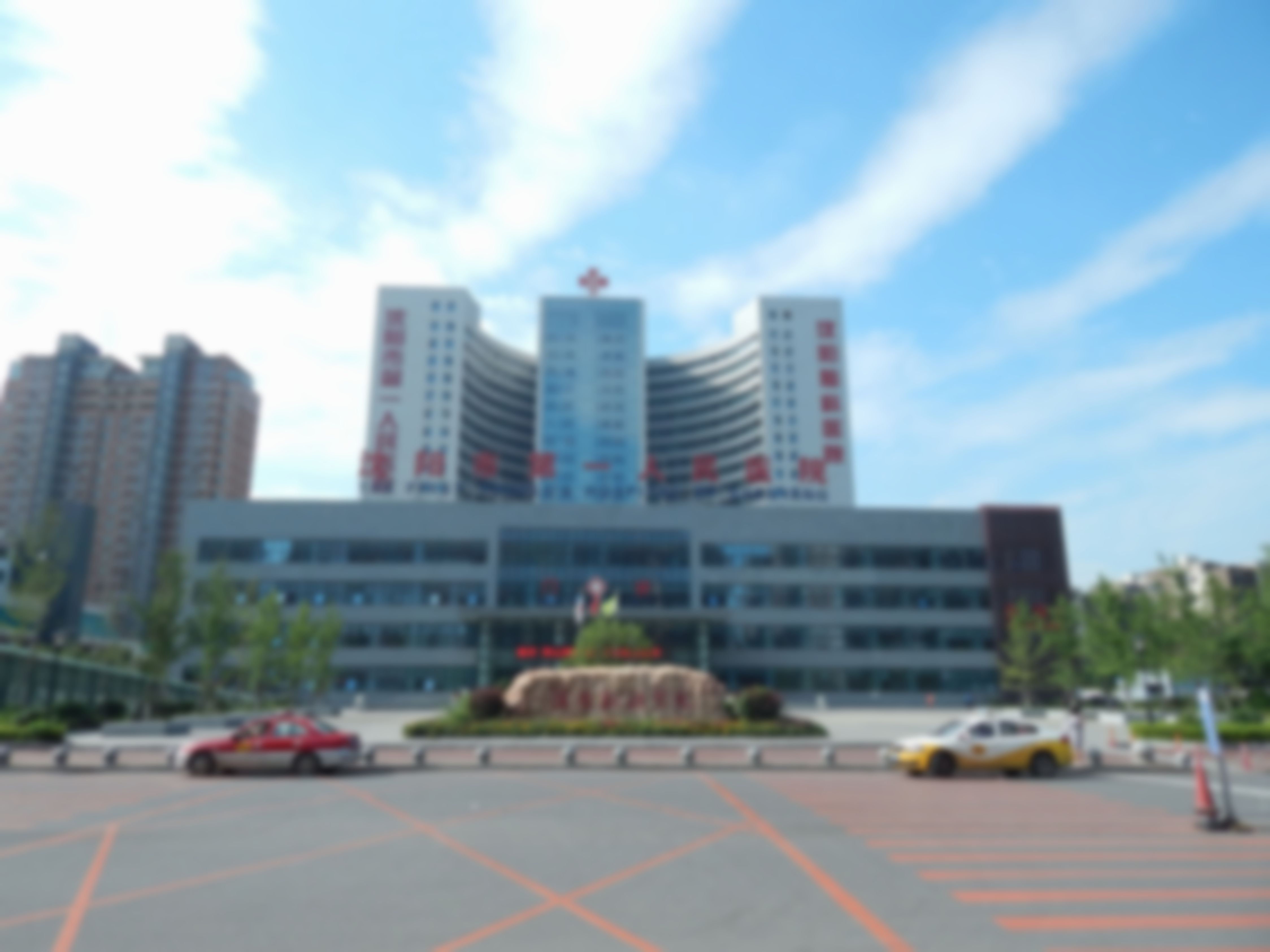 六、沈阳市第一人民医院整形科医生介绍表