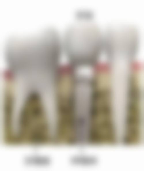无锡江阴博雅口腔诊所预约挂号方式。