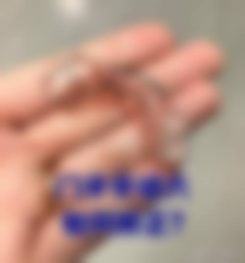 四、海北何水平口腔诊所医生团队结构