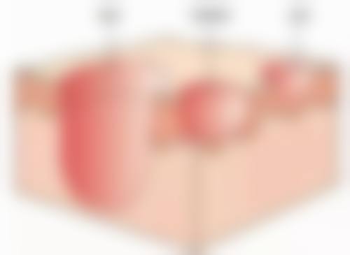 4、医院常见问题解答（精选 3–4 个）
