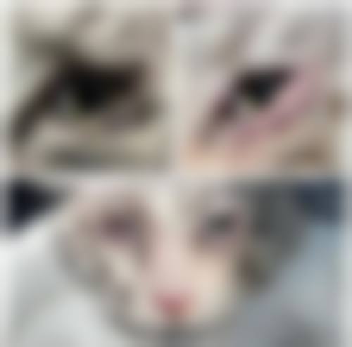 剑阁县人民医院眼科医生团队经验稳定。