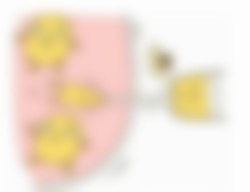 二、彦根Liara Clinic正规资质及靠谱实力
