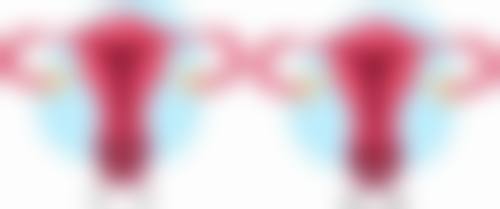 FAQ:常见问题解答