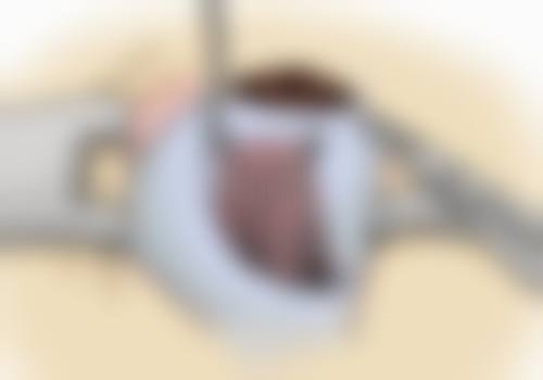 2、医院性质 / 资质备案