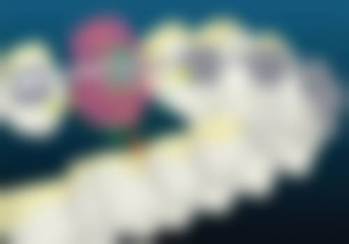 四、绍兴柯桥金柯口腔医生团队