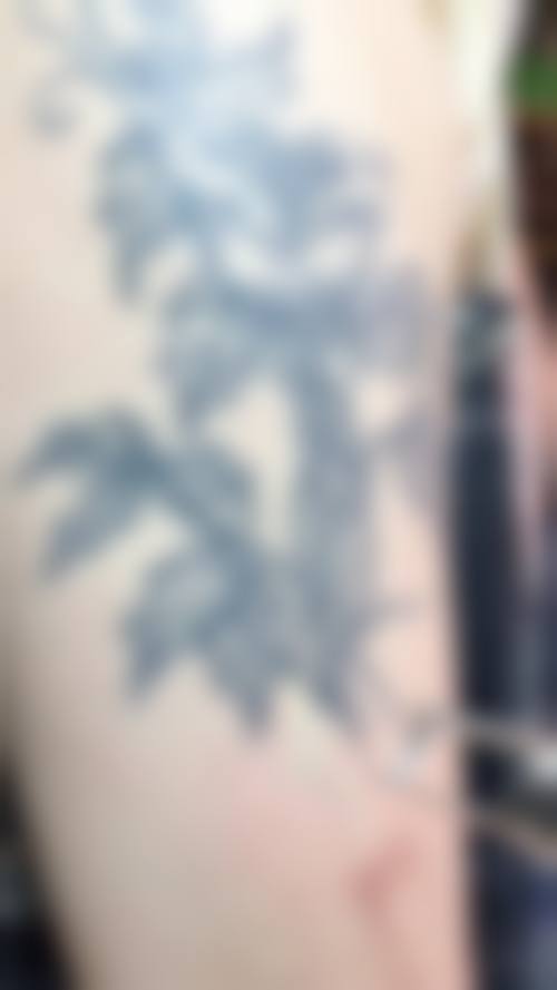 南京新生毛发种植研究院擅长项目。