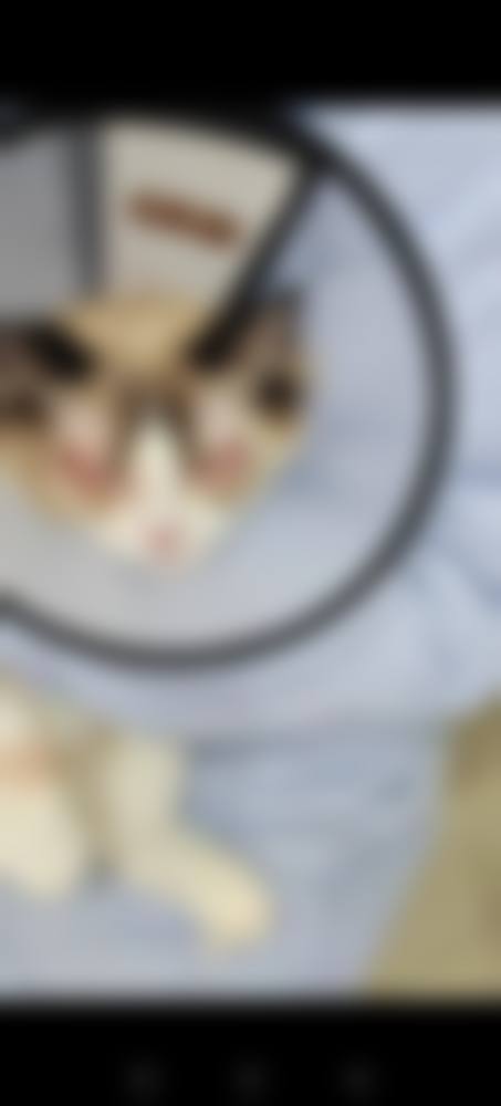 临床实例分享
