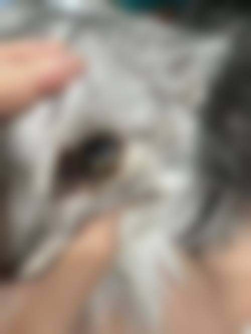 特色诊疗项目与价格参考