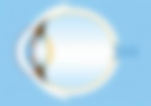 有没有适合糖尿病人吃的粽子?