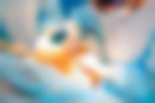 二、医院诊疗项目能力