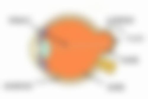 5、就诊须知与风险提示