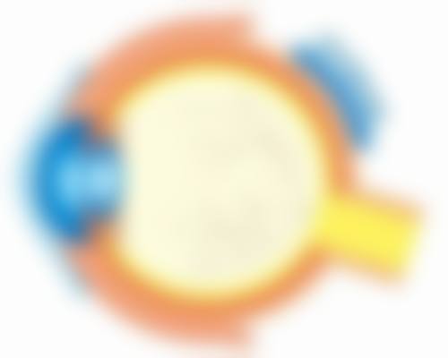 五、陈耀华医生在哪家医院?