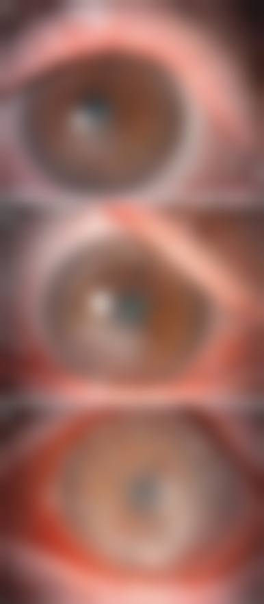 服务流程与患者保护:以患者为中 心,透明确保