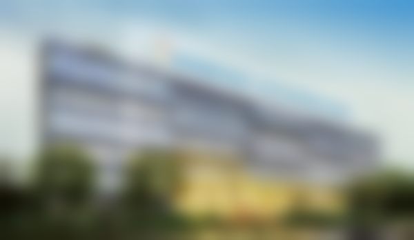 【5】修复期的真实体验:从模糊到1.2的惊喜转变