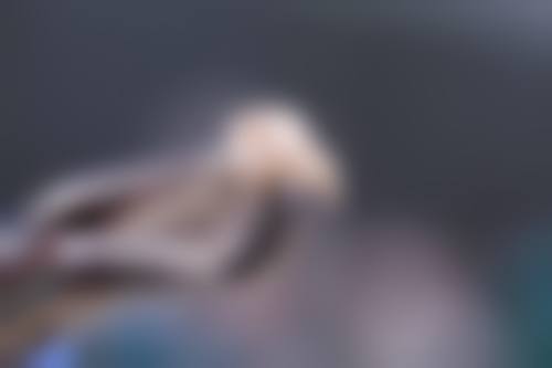 广东广州携手口腔门诊营业时间。