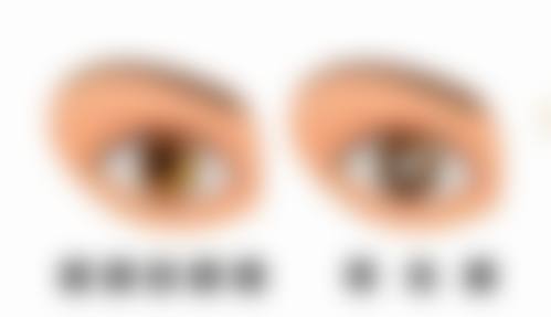 哈尔滨市第一医院眼科乘车路线