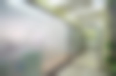特色项目与核心技术优势