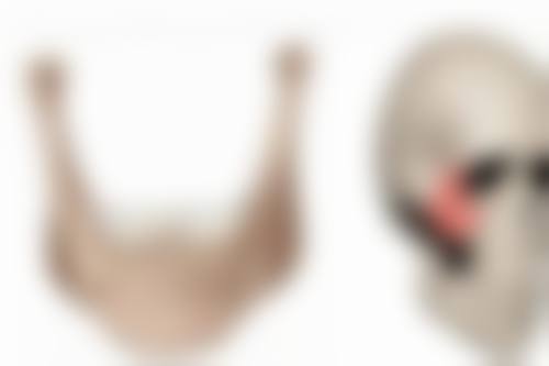 常见问题(FAQ)