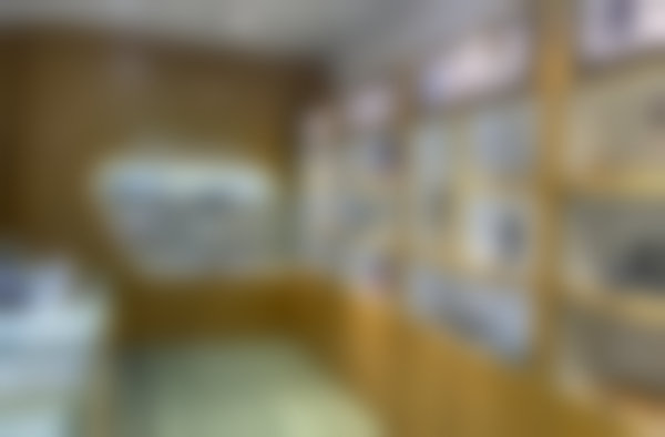 医学配镜项目价格贵吗?