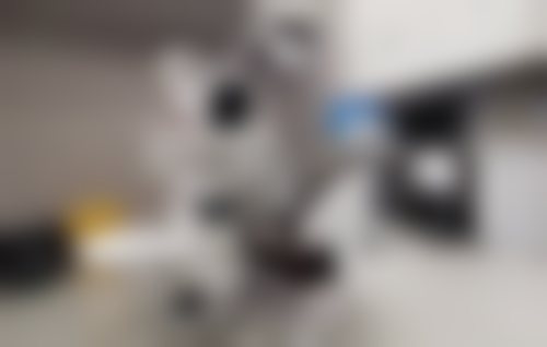 北京牙元素口腔儿童补牙（3M-Z350 单颗 任意牙位）价格680-880元起，明码标价无隐形消费