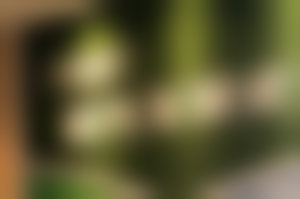 常州泽明眼科医院蔡磊琳排名第几位？最新官方数据揭晓！真实口碑与实力揭秘
