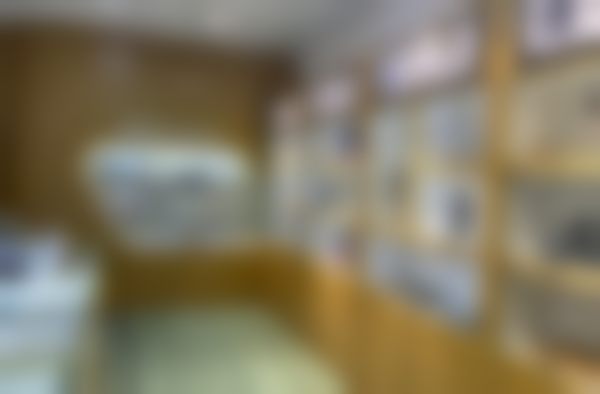 地理位置